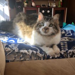 courtney.smith3 on One Bite Pizza App