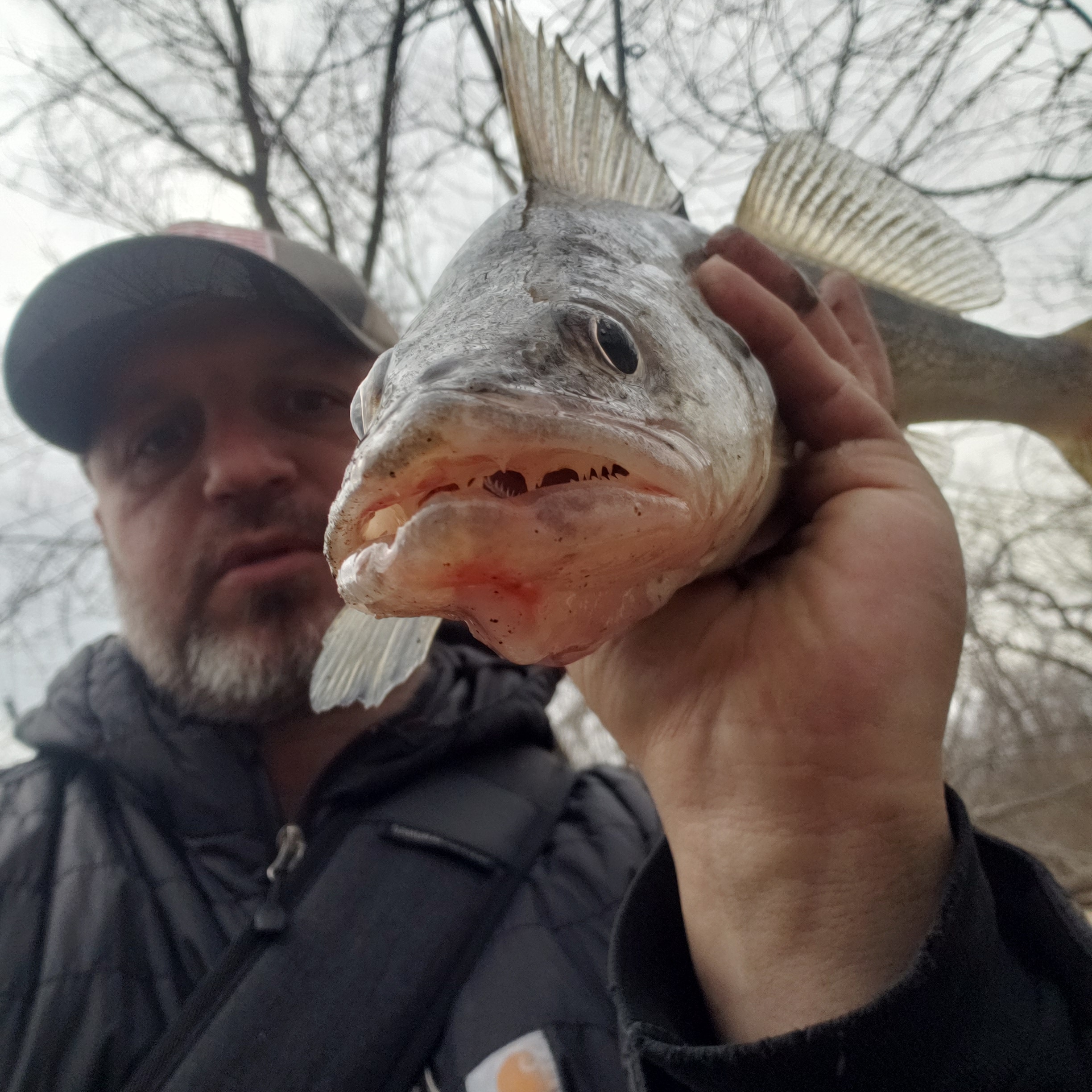 aldo.marchese on One Bite Pizza App