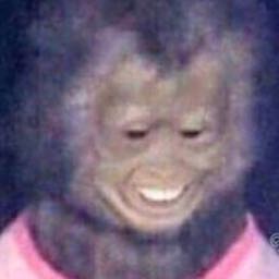 welchl on One Bite Pizza App