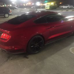 dstang99 on One Bite Pizza App
