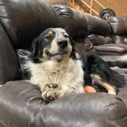 jkemme.9 on One Bite Pizza App