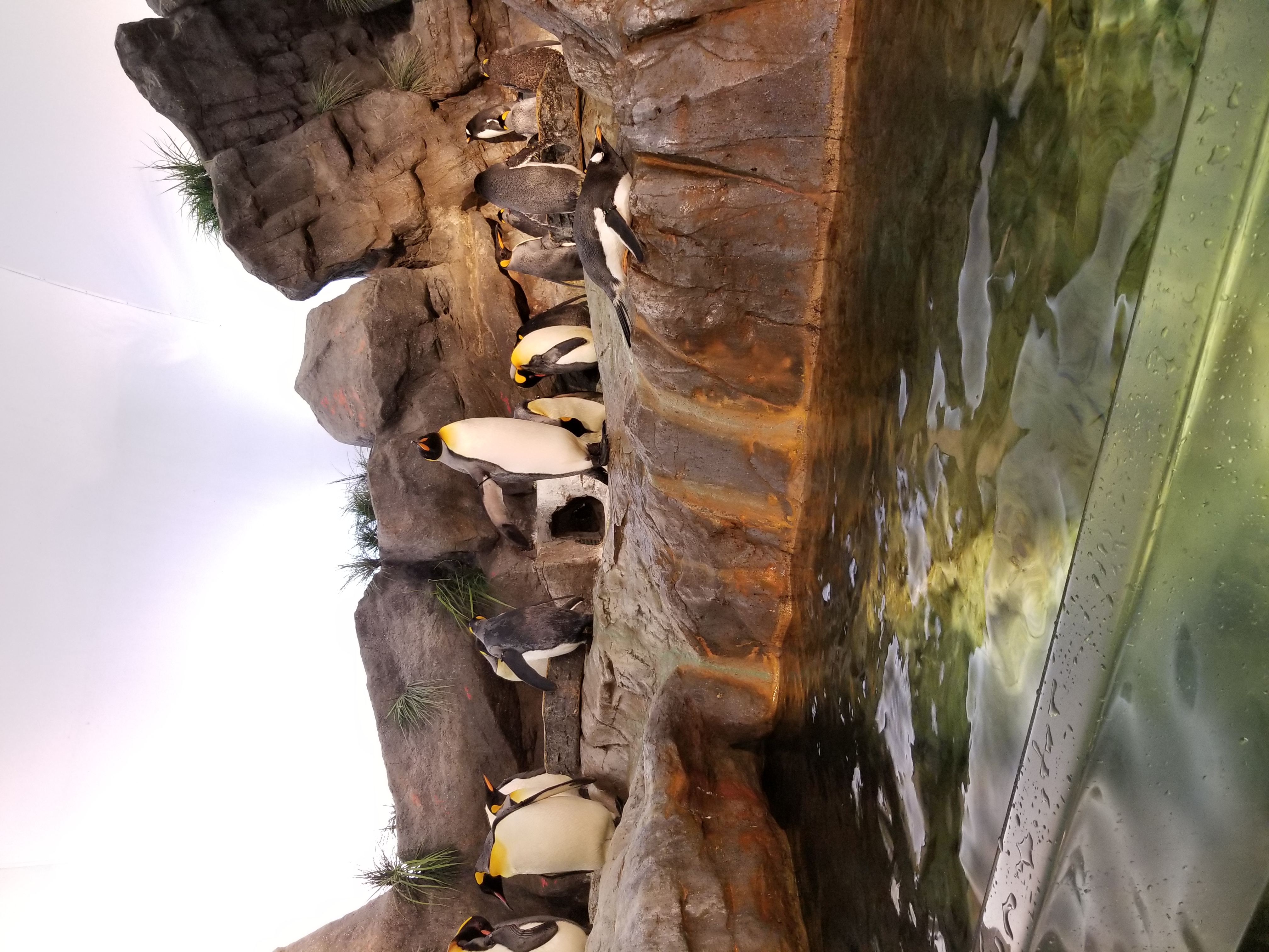 ryan.peachey on One Bite Pizza App