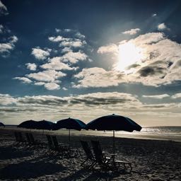 ryan.anthony4 on One Bite Pizza App