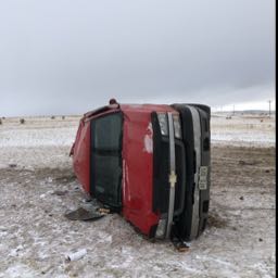 limonenefarms on One Bite Pizza App