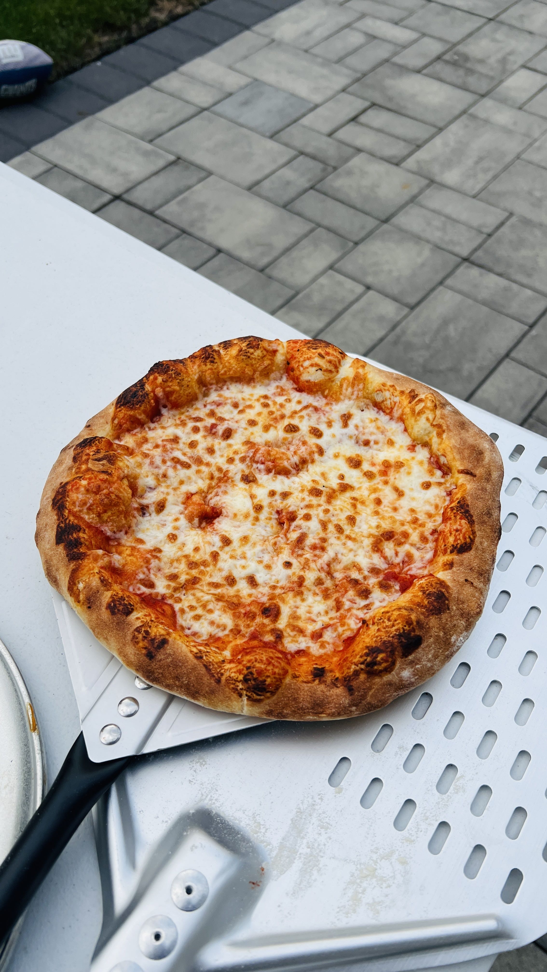 michael.p69 on One Bite Pizza App