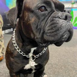 adrian.patino on One Bite Pizza App