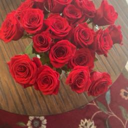 jailene.c on One Bite Pizza App