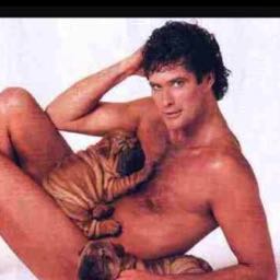 bnorman1422 on One Bite Pizza App