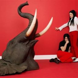 the-mann on One Bite Pizza App