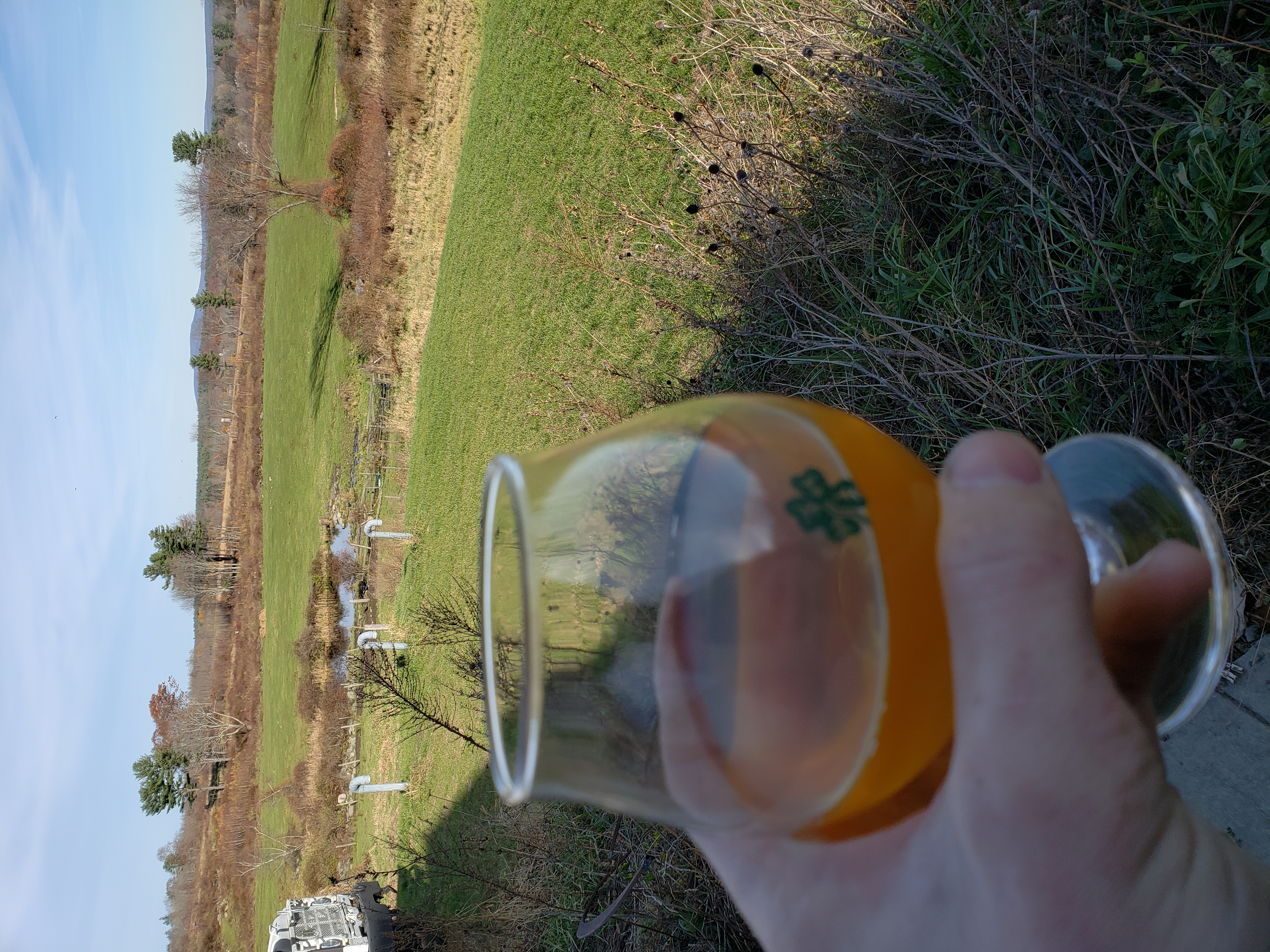 brandon.pickett on One Bite Pizza App