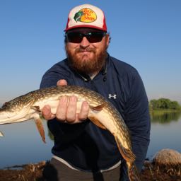 ogre on One Bite Pizza App