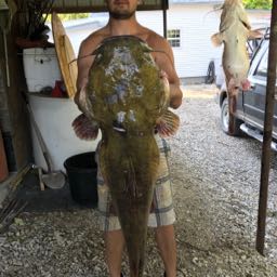 tanner.cyr on One Bite Pizza App