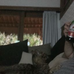 michael.johnson37 on One Bite Pizza App