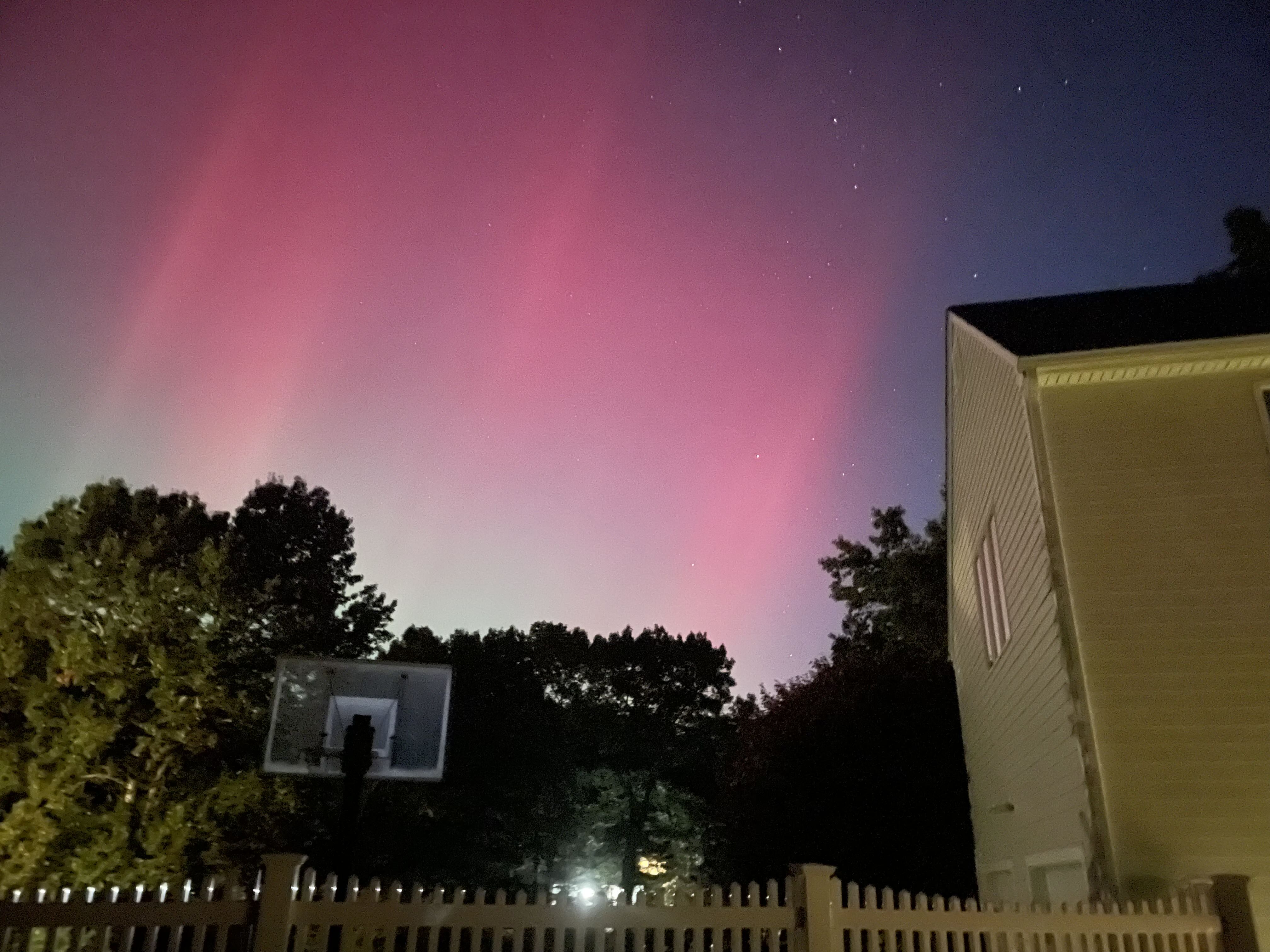 bigbellyrealty on One Bite Pizza App