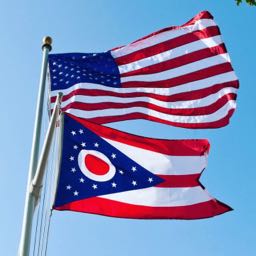 dingerfromohio on One Bite Pizza App