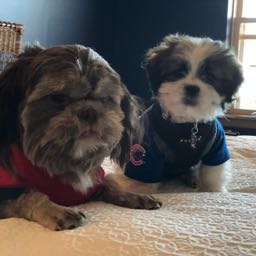 alvin.medina on One Bite Pizza App