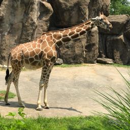 brian.gallagher on One Bite Pizza App