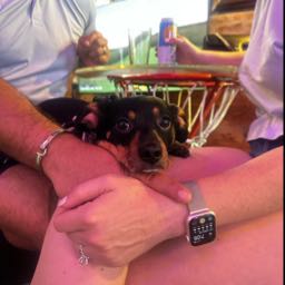 emmanuel.juarez on One Bite Pizza App