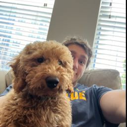 wobbles346 on One Bite Pizza App