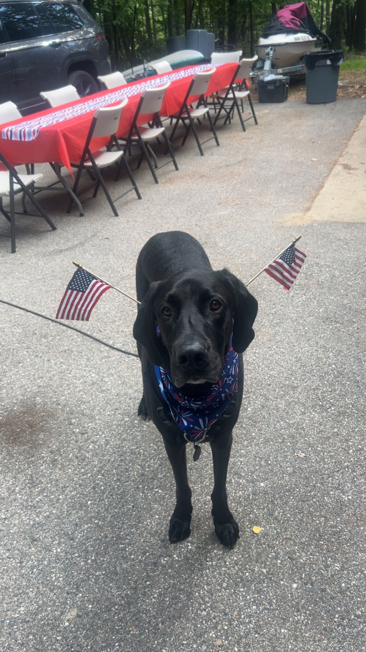 anus_pegger69 on One Bite Pizza App