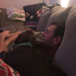 dobac on One Bite Pizza App