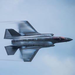 ryslimvegas19 on One Bite Pizza App