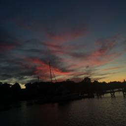 william.23 on One Bite Pizza App