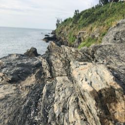 daniel.mccabe on One Bite Pizza App