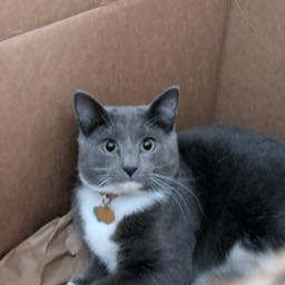 wyatt.churchill on One Bite Pizza App