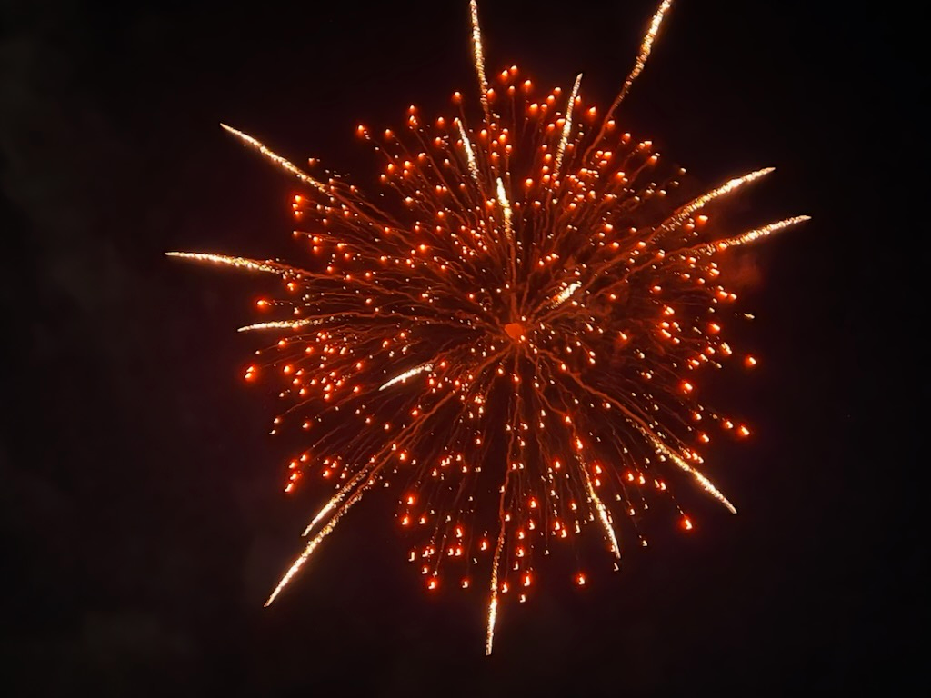 shaunthepyrotek on One Bite Pizza App