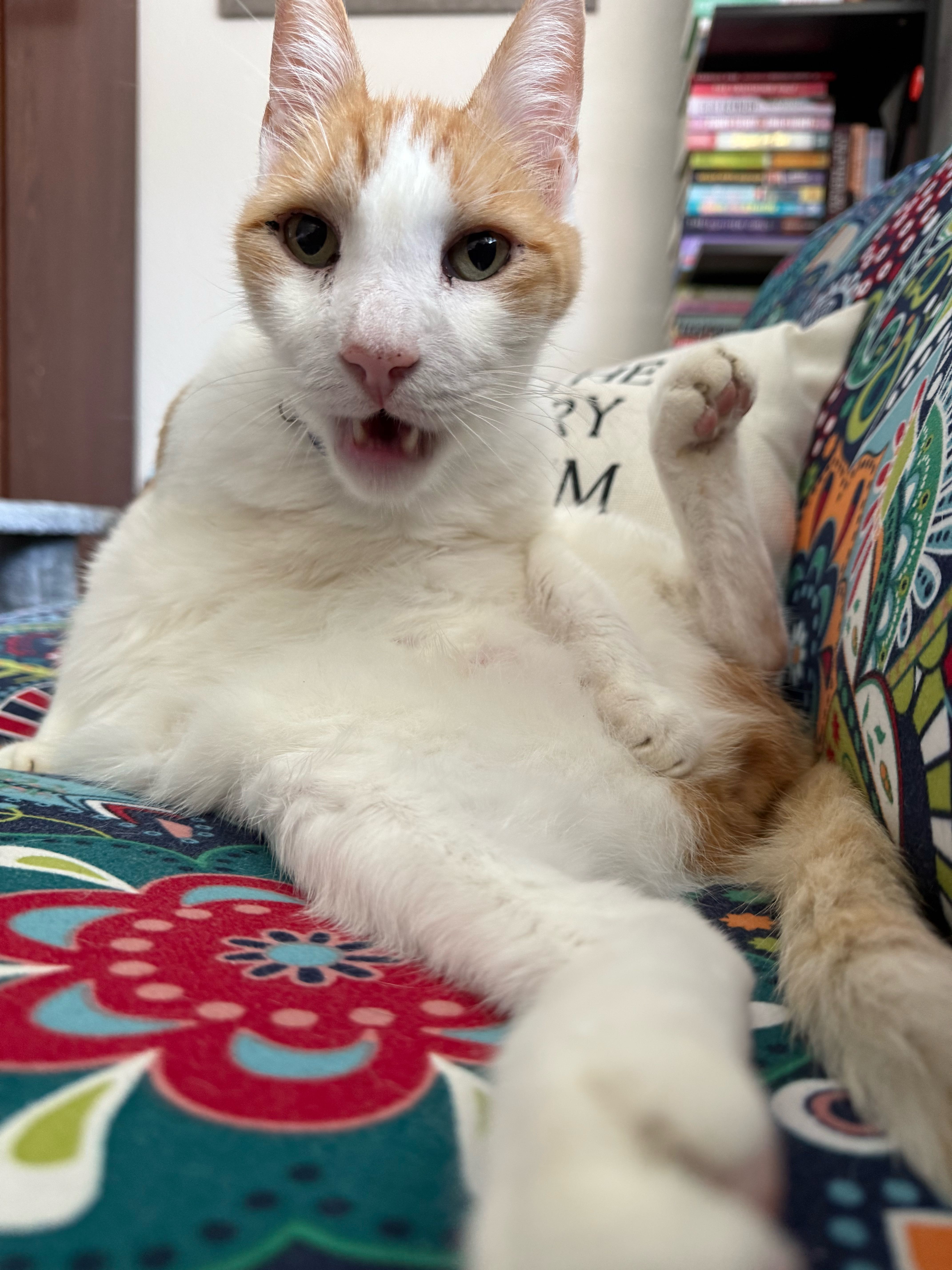 walter.bell on One Bite Pizza App