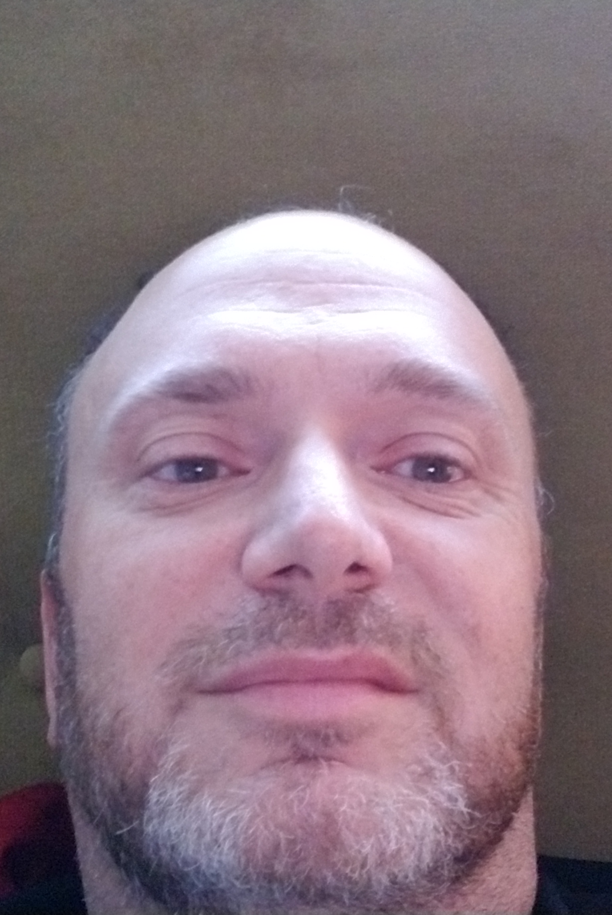 hans.anderson1 on One Bite Pizza App