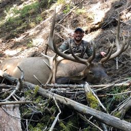 wapitiarcher0311 on One Bite Pizza App