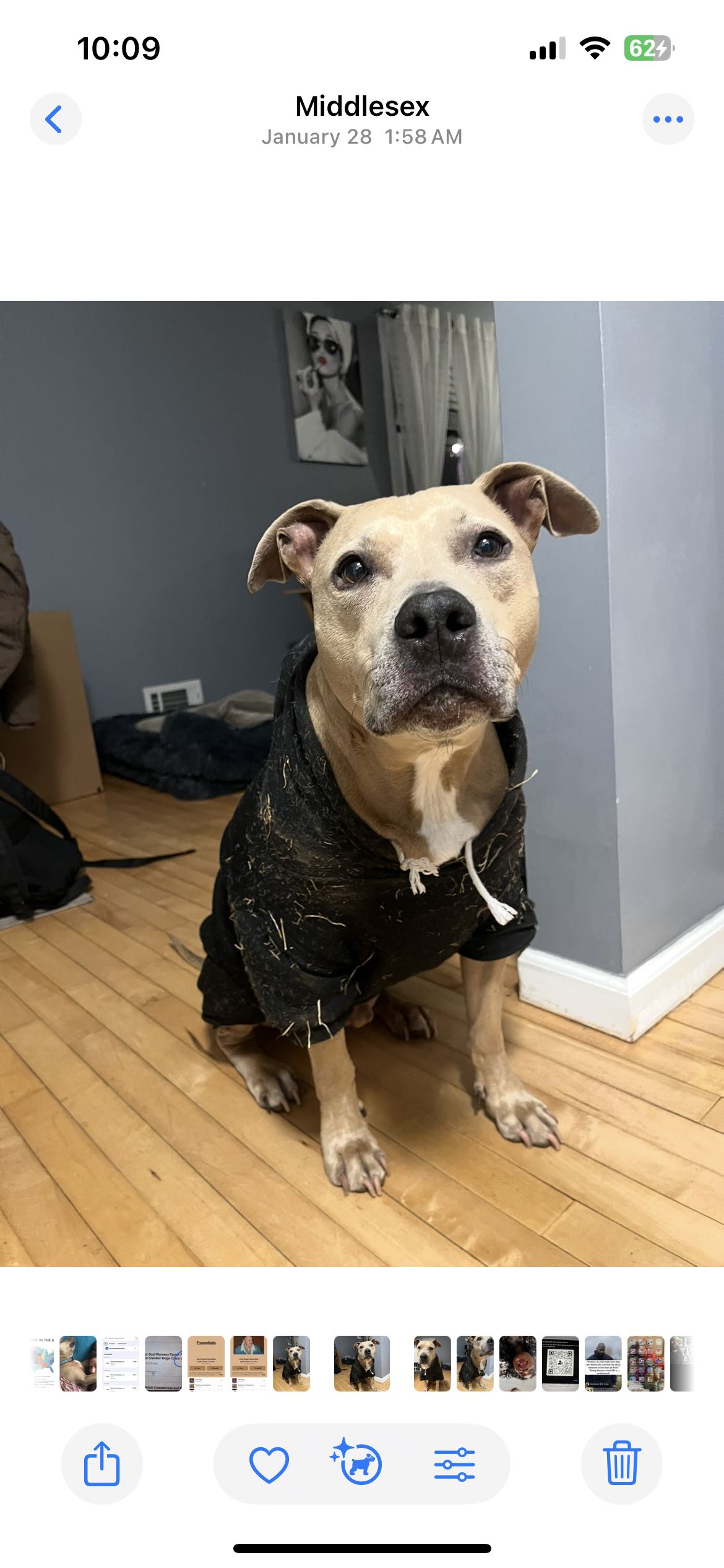 suzanne.carbone on One Bite Pizza App