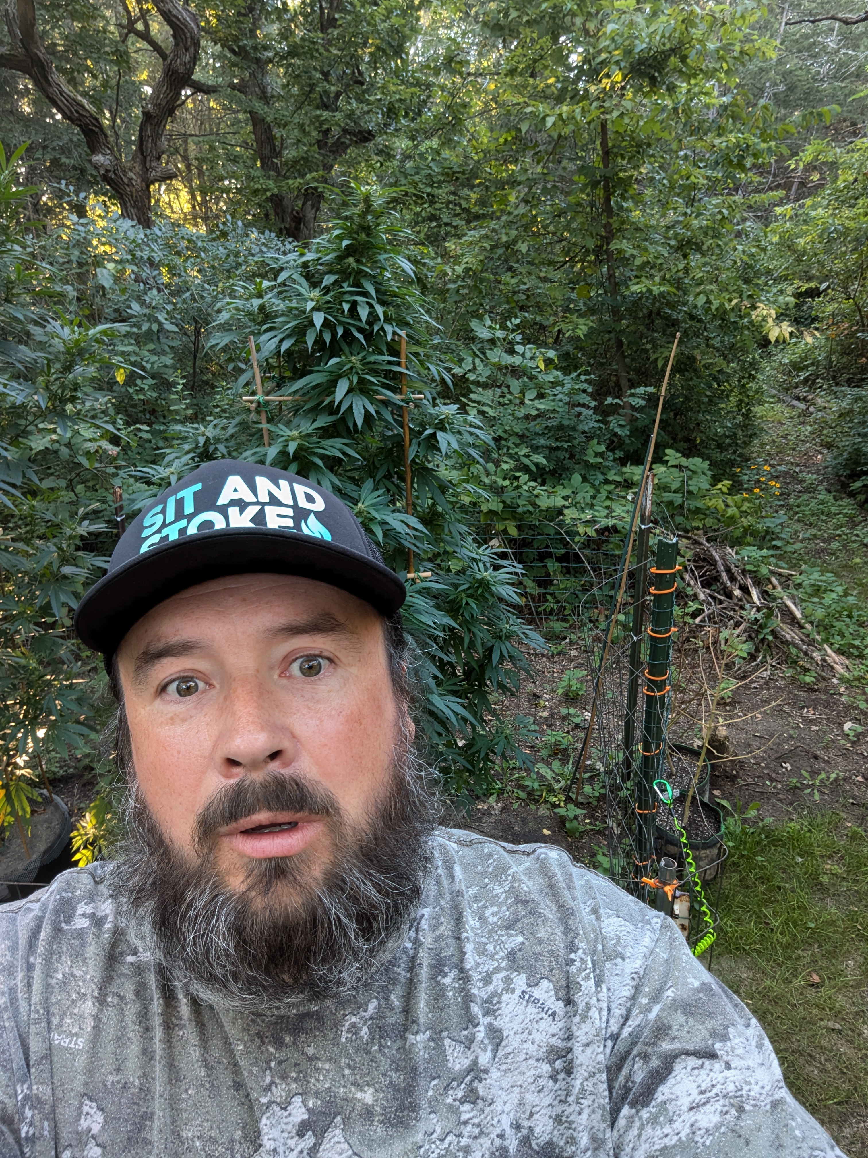 jesse.barnes3 on One Bite Pizza App