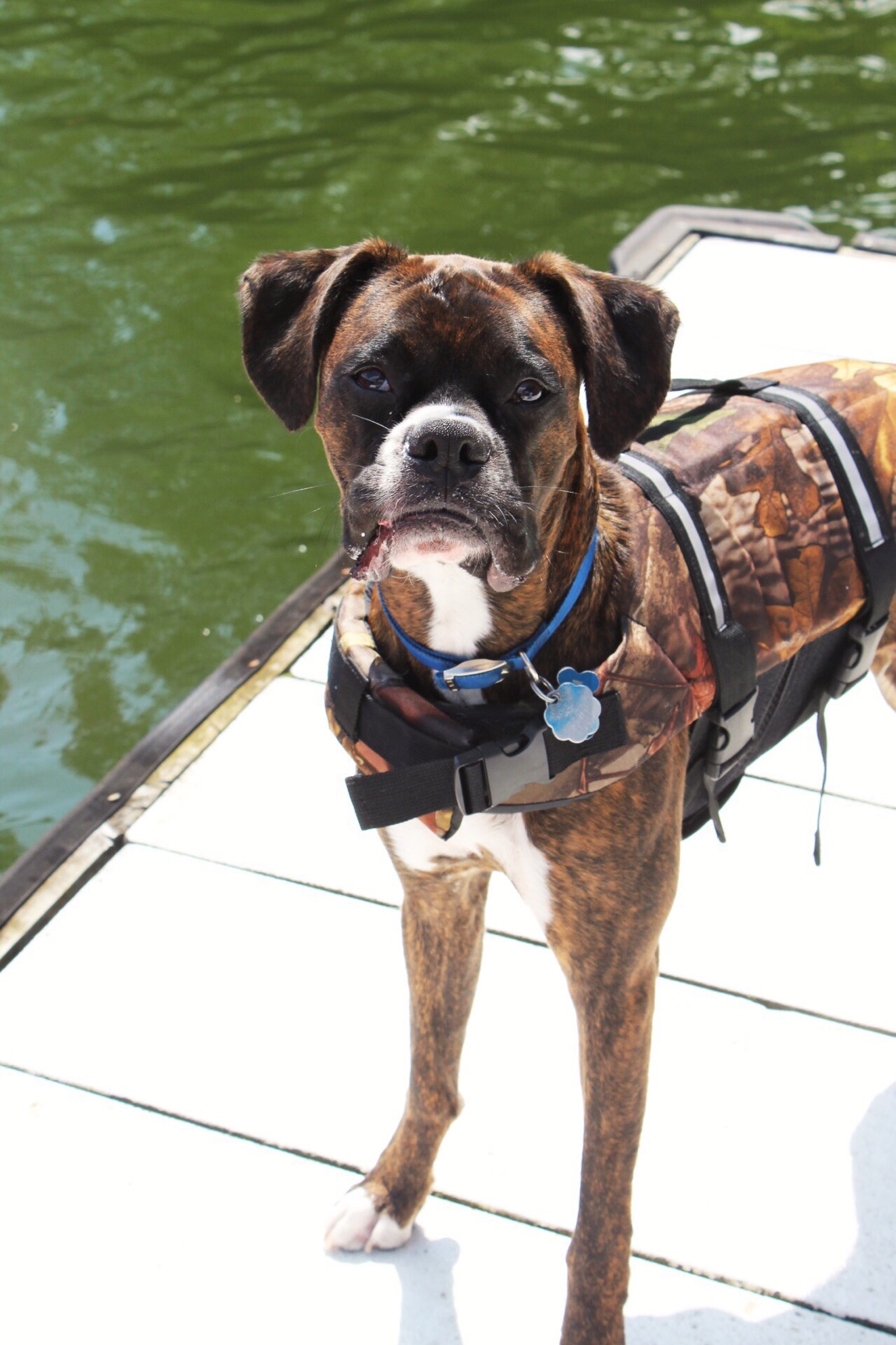 joe.reiter on One Bite Pizza App