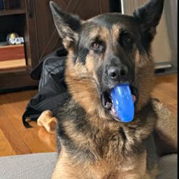 kevin.stant on One Bite Pizza App