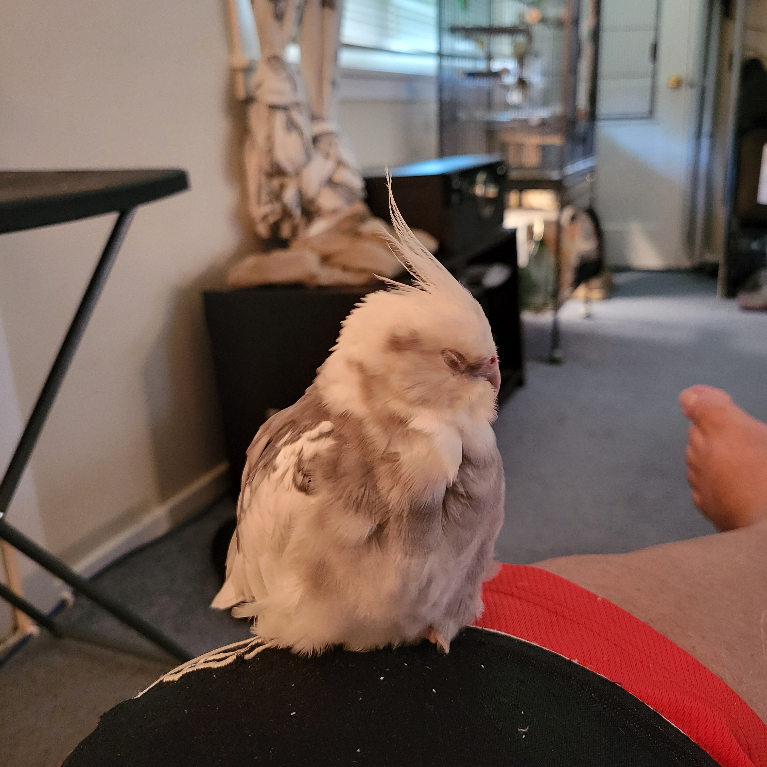 gh0st on One Bite Pizza App