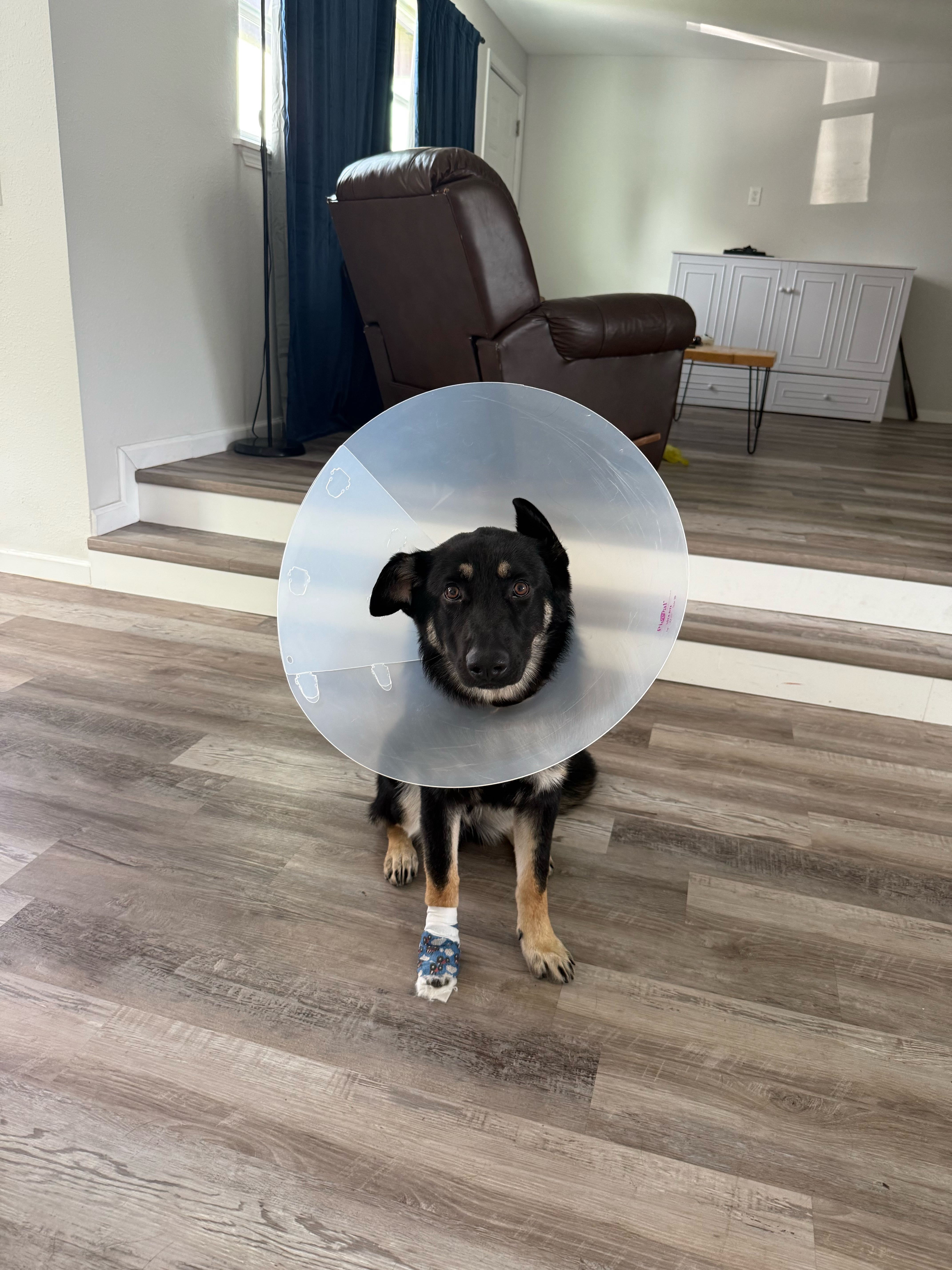 tyler.drew2 on One Bite Pizza App