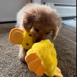 mike.jennings6 on One Bite Pizza App