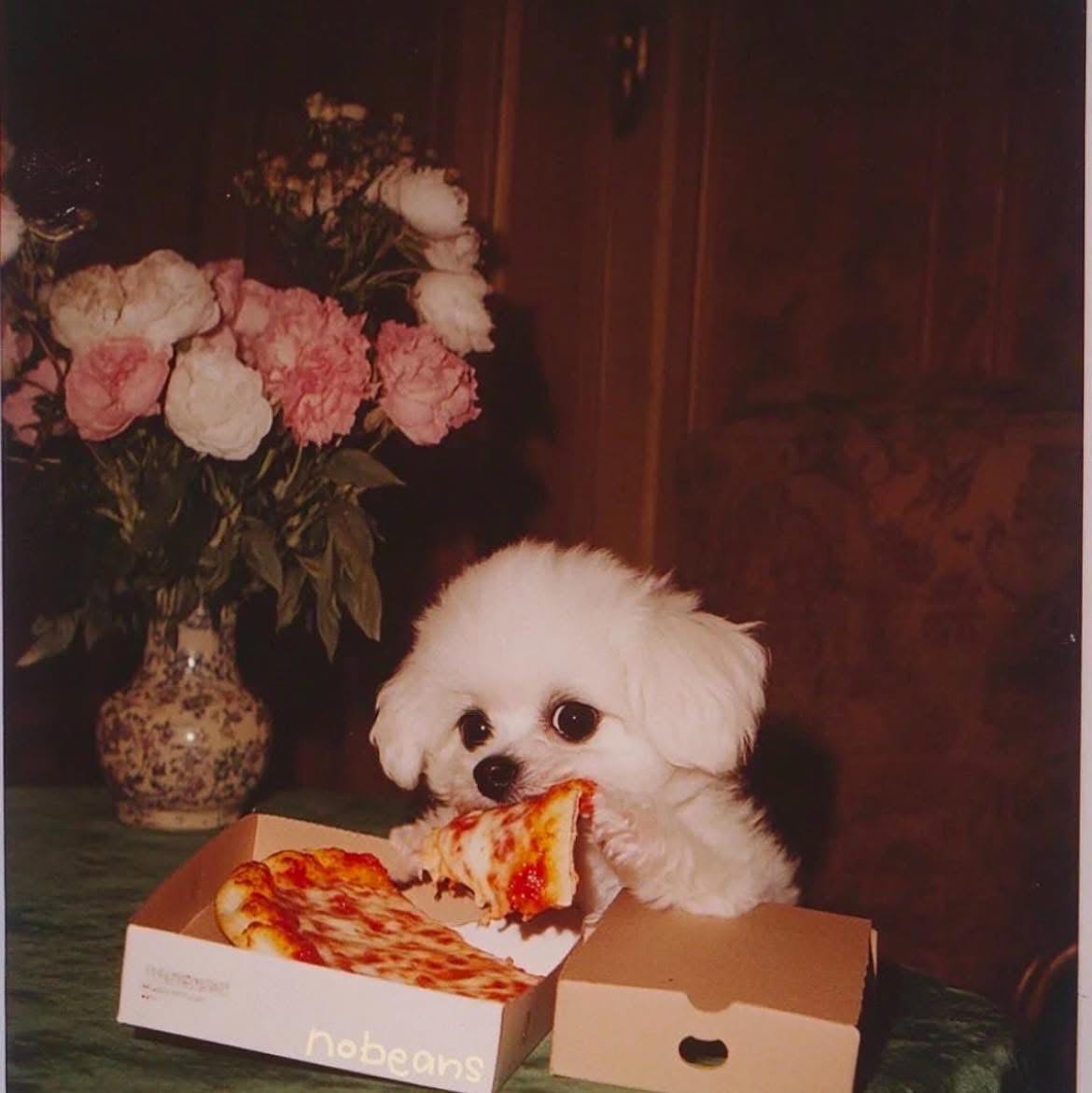 pizzaluvr6000 on One Bite Pizza App