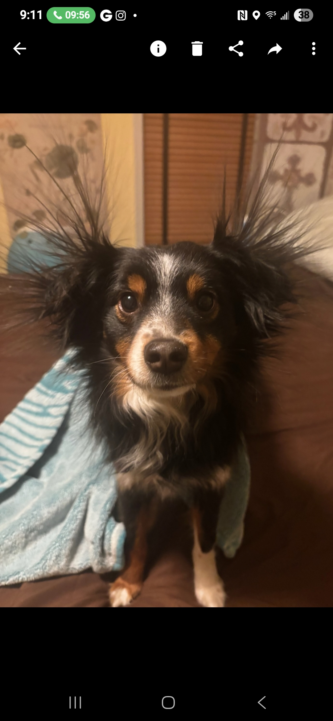 frank.dee on One Bite Pizza App