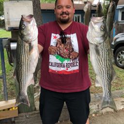 bryan.hayashida on One Bite Pizza App