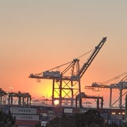 mizzo1 on One Bite Pizza App