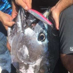 corey.nunes on One Bite Pizza App