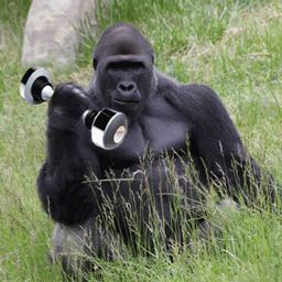 dave.jagla on One Bite Pizza App