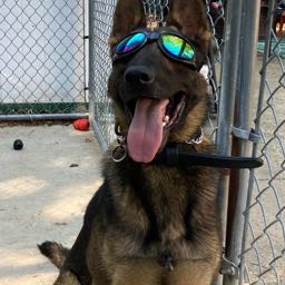 wesley.quillin on One Bite Pizza App