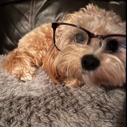 john.armitage on One Bite Pizza App