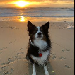 john.livatino on One Bite Pizza App