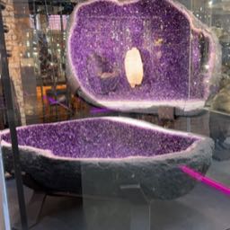 austin.malik on One Bite Pizza App